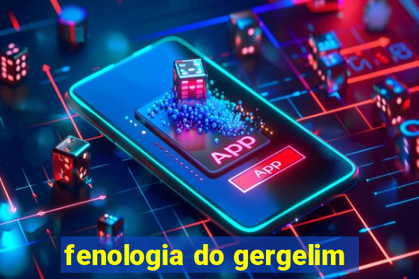 fenologia do gergelim